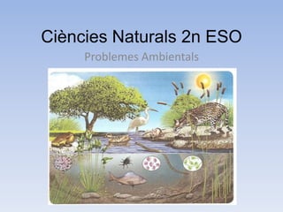 Ciències Naturals 2n ESO
Problemes Ambientals

 