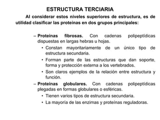Al considerar estos niveles superiores de estructura, es de utilidad clasificar las proteínas en dos grupos principales: Proteínas fibrosas.  Con cadenas polipeptídicas dispuestas en largas hebras u hojas. Constan mayoritariamente de un único tipo de estructura secundaria. Forman parte de las estructuras que dan soporte, forma y protección externa a los vertebrados. Son claros ejemplos de la relación entre estructura y función. Proteínas globulares.  Con cadenas polipeptídicas plegadas en formas globulares o esféricas. Tienen varios tipos de estructura secundaria. La mayoría de las enzimas y proteínas reguladoras. ESTRUCTURA TERCIARIA 