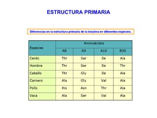 ESTRUCTURA PRIMARIA 