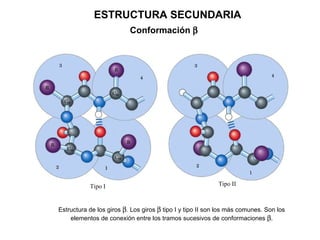 Estructura de los giros  . Los giros    tipo I y tipo II son los más comunes. Son los elementos de conexión entre los tramos sucesivos de conformaciones   ESTRUCTURA SECUNDARIA Conformación   Tipo I Tipo II 