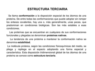 ESTRUCTURA TERCIARIA Se llama  conformación  a la disposición espacial de los átomos de una proteína. De entre todas las conformaciones que puede adoptar sin romper los enlaces covalentes, hay una o, más generalmente, unas pocas, que predominan en condiciones biológicas. Son las más estables a esas condiciones. Las proteínas que se encuentran en cualquiera de sus conformaciones funcionales y plegadas se denominan  proteínas nativas . La tendencia de una proteína a mantener la conformación nativa se denomina  estabilidad . La molécula proteica, según las condiciones físicoquímicas del medio, se pliega y repliega en el espacio adoptando una forma especial y característica. Esta disposición tridimensional global de los átomso de una proteína se conoce como  estructura terciaria .  