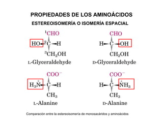 ESTEREOISOMERÍA O ISOMERÍA ESPACIAL PROPIEDADES DE LOS AMINOÁCIDOS Comparación entre la estereoisomería de monosacáridos y...