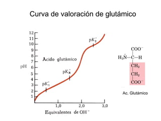 Curva de valoración de glutámico Ac. Glutámico 