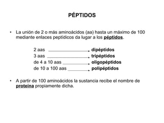 PÉPTIDOS <ul><li>La unión de 2 o más aminoácidos (aa) hasta un máximo de 100 mediante enlaces peptídicos da lugar a los  p...