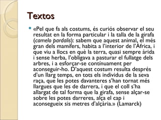 Textos ,[object Object]
