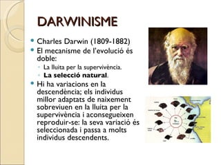 DARWINISME ,[object Object],[object Object],[object Object],[object Object],[object Object]