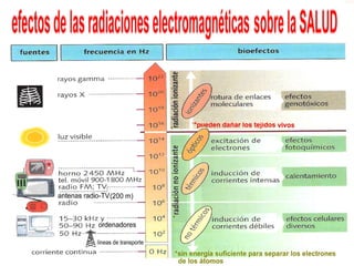 Telecomunicaciones