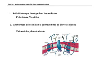 Tema 40.4. Antimicrobianos que actúan sobre la membrana celular




  1. Antibióticos que desorganizan la membrana
            Polimixinas, Tirocidina


   2. Antibióticos que cambian la permeabilidad de ciertos cationes


            Valinomicina, Gramicidina A
 