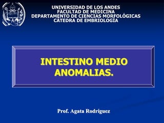 UNIVERSIDAD DE LOS ANDES
FACULTAD DE MEDICINA
DEPARTAMENTO DE CIENCIAS MORFOLÓGICAS
CÁTEDRA DE EMBRIOLOGÍA
Prof. Agata Rodríguez
INTESTINO MEDIO
ANOMALIAS.
 