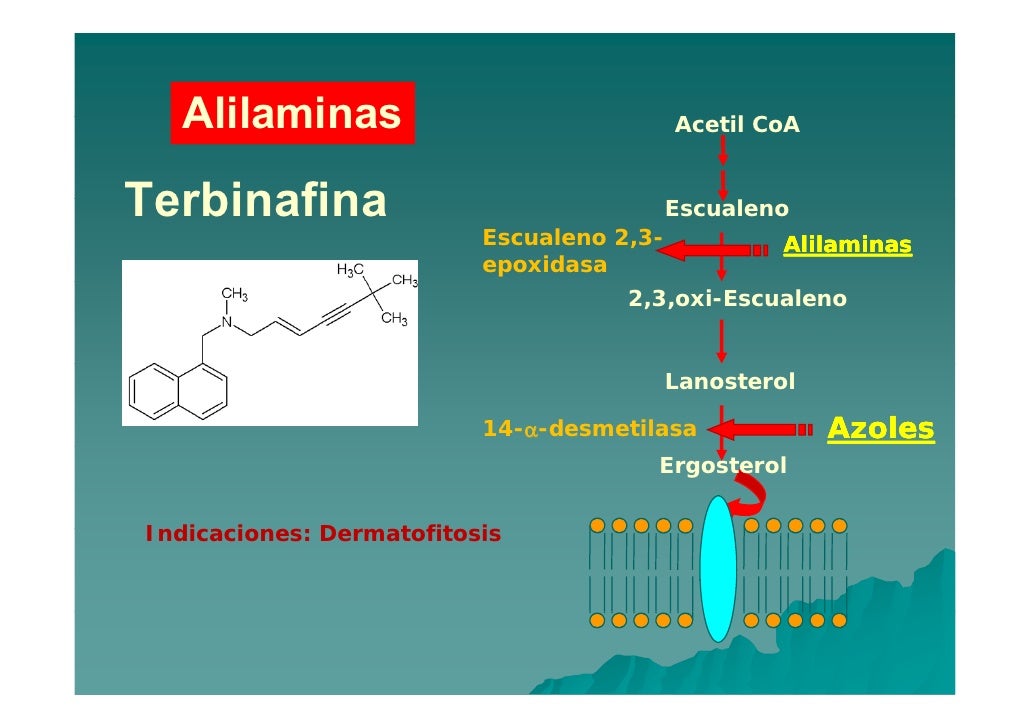 5 Fluorocitosina Mecanismo De Accion