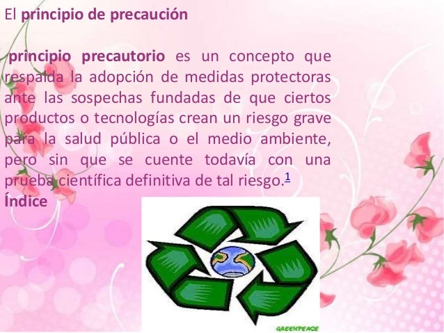 TEMA 4 : EL PRINCIPIO PRECAUTORIO EN LA RESOLUCIÓN DE PROBLEMAS Y EL