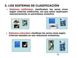 10
3. LOS SISTEMAS DE CLASIFICACIÓN
• Sistemas artificiales: clasificaban los seres vivos
según criterios arbitrarios, sin que estos implicasen
necesariamente un parentesco evolutivo
• Sistemas naturales: clasifican los seres vivos según
criterios basados en sus relaciones evolutivas.
 