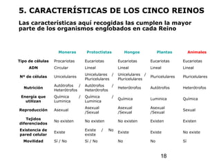 18
Moneras Protoctistas Hongos Plantas Animales
Tipo de células Procariotas Eucariotas Eucariotas Eucariotas Eucariotas
ADN Circular Lineal Lineal Lineal Lineal
Nº de células Unicelulares
Unicelulares /
Pluricelulares
Unicelulares /
Pluricelulares
Pluricelulares Pluricelulares
Nutrición
Autótrofos /
Heterótrofos
Autótrofos /
Heterótrofos
Heterótrofos Autótrofos Heterótrofos
Energía que
utilizan
Química /
Luminica
Química /
Luminica
Química Luminica Química
Reproducción Asexual
Asexual
/Sexual
Asexual
/Sexual
Asexual
/Sexual
Sexual
Tejidos
diferenciados
No existen No existen No existen Existen Existen
Existencia de
pared celular
Existe
Existe / No
existe
Existe Existe No existe
Movilidad Sí / No Sí / No No No Sí
5. CARACTERÍSTICAS DE LOS CINCO REINOS
Las características aquí recogidas las cumplen la mayor
parte de los organismos englobados en cada Reino
 