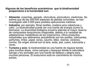 21
Algunos de los beneficios económicos que la biodiversidad
proporciona a la humanidad son:
• Alimento: cosechas, ganado, silvicultura, piscicultura, medicinas. Se
estima que de las 250.000 especies de plantas conocidas, se han
investigado sólo 5.000 para posibles aplicaciones médicas.
• Industria: por ejemplo, fibras textiles, madera para coberturas y
calor. La biodiversidad puede ser una fuente de energía (como la
biomasa). La diversidad biológica encierra además la mayor reserva
de compuestos bioquímicos imaginable, debido a la variedad de
adaptaciones metabólicas de los organismos. Otros productos
industriales que obtenemos actualmente son los aceites, lubricantes,
perfumes, tintes, papel, ceras, caucho, látex, resinas, venenos,
corcho. De origen animal son la lana, seda, piel, cuero, lubricante y
ceras.
• Turismo y ocio: la biodiversidad es una fuente de riqueza barata
para muchas áreas, como parques y bosques donde la naturaleza
salvaje y los animales son una fuente de belleza y alegría para
muchas personas. El ecoturismo está en crecimiento en muchos
países.
 