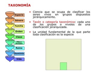 6
• Ciencia que se ocupa de clasificar los
seres vivos en grupos dispuestos
jerárquicamente.
• Taxón o categoría taxonómica: cada uno
de los grupos o niveles de una
clasificación jerarquizada.
• La unidad fundamental de la que parte
toda clasificación es la especie
TAXONOMÍA
 