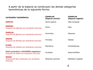 8
CATEGORÍA TAXONÓMICA
EJEMPLOS
(Especie animal)
EJEMPLOS
(Especie vegetal)
ESPECIE Homo sapiens Olea europaea
GENERO:
Conjunto se especies con caracteres comunes.
Homo Olea
FAMILIA:
Conjunto de géneros con caracteres comunes.
Homínidos Oleaceas
ORDEN:
Conjunto de familias con caracteres comunes.
Primates Oleales
CLASE:
Conjunto de ordenes con caracteres comunes.
Mamíferos Dicotiledóneas
FILO (animales) o DIVISIÓN vegetales):
Conjunto de clases con caracteres comunes.
Cordados Espermatófitas
REINO:
Conjunto de fila o divisiones con caracteres
comunes.
Metazoos (animal) Metafitas (vegetal)
A partir de la especie se construyen las demás categorías
taxonómicas de la siguiente forma:
 