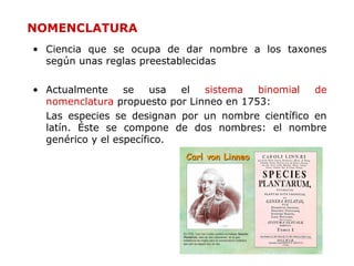 9
• Ciencia que se ocupa de dar nombre a los taxones
según unas reglas preestablecidas
• Actualmente se usa el sistema binomial de
nomenclatura propuesto por Linneo en 1753:
Las especies se designan por un nombre científico en
latín. Éste se compone de dos nombres: el nombre
genérico y el específico.
NOMENCLATURA
 