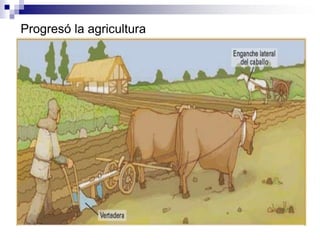 Progresó la agricultura