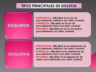 TIPOS PRINCIPALES DE DISLEXIA
 