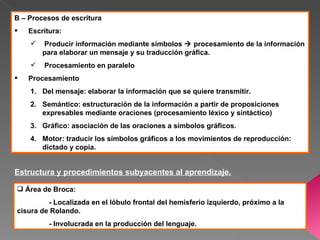 B – Procesos de escritura
   Escritura:
       Producir información mediante símbolos  procesamiento de la información
        para elaborar un mensaje y su traducción gráfica.
       Procesamiento en paralelo
   Procesamiento
    1. Del mensaje: elaborar la información que se quiere transmitir.
    2. Semántico: estructuración de la información a partir de proposiciones
       expresables mediante oraciones (procesamiento léxico y sintáctico)
    3. Gráfico: asociación de las oraciones a símbolos gráficos.
    4. Motor: traducir los símbolos gráficos a los movimientos de reproducción:
       dictado y copia.


Estructura y procedimientos subyacentes al aprendizaje.

 Área de Broca:
         - Localizada en el lóbulo frontal del hemisferio izquierdo, próximo a la
cisura de Rolando.
          - Involucrada en la producción del lenguaje.
 