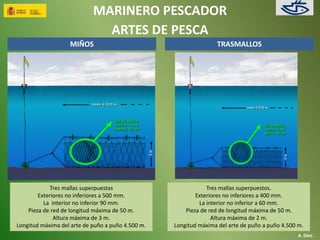MARINERO PESCADOR 
ARTES DE PESCA 
A. Díez. 
MIÑOS 
Tres mallas superpuestas 
Exteriores no inferiores a 500 mm. 
La interior no inferior 90 mm. 
Pieza de red de longitud máxima de 50 m. 
Altura máxima de 3 m. 
Longitud máxima del arte de puño a puño 4.500 m. 
TRASMALLOS 
Tres mallas superpuestos. 
Exteriores no inferiores a 400 mm. 
La interior no inferior a 60 mm. 
Pieza de red de longitud máxima de 50 m. 
Altura máxima de 2 m. 
Longitud máxima del arte de puño a puño 4.500 m. 
 