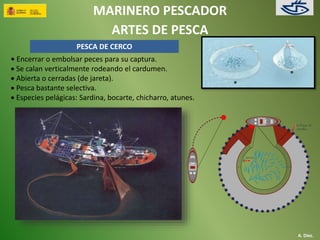 MARINERO PESCADOR 
ARTES DE PESCA 
A. Díez. 
PESCA DE CERCO 
• Encerrar o embolsar peces para su captura. 
 Se calan verticalmente rodeando el cardumen. 
 Abierta o cerradas (de jareta). 
 Pesca bastante selectiva. 
 Especies pelágicas: Sardina, bocarte, chicharro, atunes. 
 