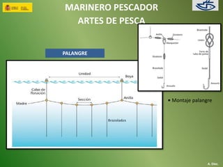 MARINERO PESCADOR 
ARTES DE PESCA 
A. Díez. 
PALANGRE 
• Montaje palangre 
 