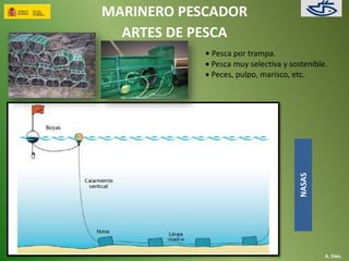 MARINERO PESCADOR 
ARTES DE PESCA 
• Pesca por trampa. 
 Pesca muy selectiva y sostenible. 
 Peces, pulpo, marisco, etc. 
A. Díez. 
NASAS 
 