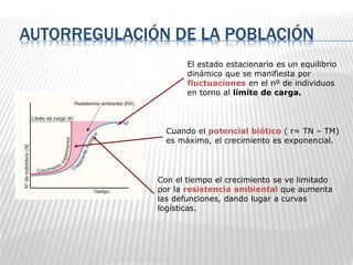 AUTORREGULACIÓN DE LA POBLACIÓN
El estado estacionario es un equilibrio
dinámico que se manifiesta por
fluctuaciones en el nº de individuos
en torno al límite de carga.
Cuando el potencial biótico ( r= TN – TM)
es máximo, el crecimiento es exponencial.
Con el tiempo el crecimiento se ve limitado
por la resistencia ambiental que aumenta
las defunciones, dando lugar a curvas
logísticas.
 