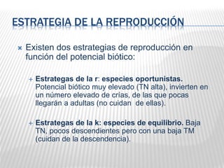 ESTRATEGIA DE LA REPRODUCCIÓN
 Existen dos estrategias de reproducción en
función del potencial biótico:
 Estrategas de la r: especies oportunistas.
Potencial biótico muy elevado (TN alta), invierten en
un número elevado de crías, de las que pocas
llegarán a adultas (no cuidan de ellas).
 Estrategas de la k: especies de equilibrio. Baja
TN, pocos descendientes pero con una baja TM
(cuidan de la descendencia).
 
