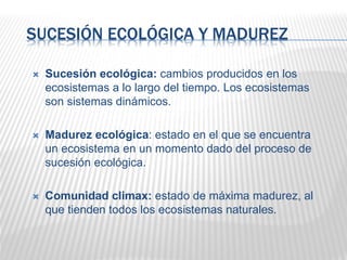 SUCESIÓN ECOLÓGICA Y MADUREZ
 Sucesión ecológica: cambios producidos en los
ecosistemas a lo largo del tiempo. Los ecosistemas
son sistemas dinámicos.
 Madurez ecológica: estado en el que se encuentra
un ecosistema en un momento dado del proceso de
sucesión ecológica.
 Comunidad climax: estado de máxima madurez, al
que tienden todos los ecosistemas naturales.
 