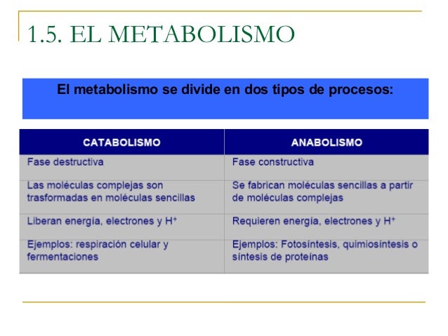 metabolismo de lipoproteinas Mentalidad