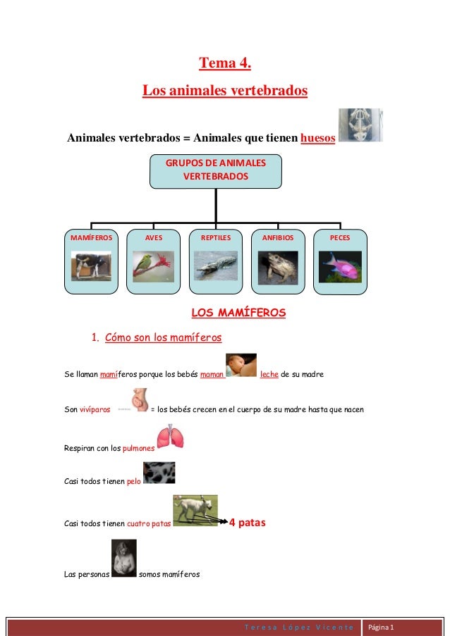 preguntas faciles sobre animales tema 4 3 186 primaria los animales vertebrados preguntas faciles sobre animales tema 4 3 186 primaria los animales vertebrados