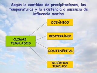 Según la cantidad de precipitaciones, las
temperaturas y la existencia o ausencia de
influencia marina
CLIMAS
TEMPLADOS
OCEÁNICO
MEDITERRÁNEO
CONTINENTAL
DESÉRTICO
TEMPLADO
 