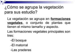 ¿Cómo se agrupa la vegetación
para sus estudio?
La vegetación se agrupa en formaciones
vegetales, o conjunto de plantas que
tienen el mismo tamaño y aspecto.
Las formaciones vegetales principales son
tres:
-El bosque
-El matorral
-Las praderas
 