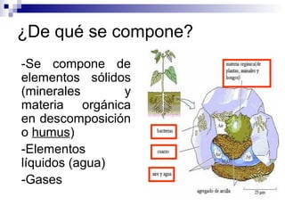 ¿De qué se compone?
-Se compone de
elementos sólidos
(minerales y
materia orgánica
en descomposición
o humus)
-Elementos
líquidos (agua)
-Gases
 