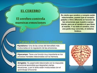 Hipotálamo: Una de las zonas del diencéfalo más
involucradas en la regulación de las emociones.
Hipocampo: Tiene una función muy importante en los
procesos mentales relacionados con la memoria.
Amígdala: Su papel está relacionado con la respuesta
emocional aprendida que despiertan ciertas
situaciones, y por lo tanto están involucradas con el
aprendizaje emocional.
Es cierto que cerebro y corazón están
relacionados, puesto que el corazón
palpita a ritmo diferente en función de
las emociones que nuestro cuerpo
siente, pero es el cerebro el que tiene
el mando. Y no todo el cerebro, sino
una parte muy concreta, el sistema
límbico.
 