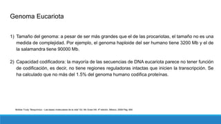 Genoma Eucariota
1) Tamaño del genoma: a pesar de ser más grandes que el de las procariotas, el tamaño no es una
medida de complejidad. Por ejemplo, el genoma haploide del ser humano tiene 3200 Mb y el de
la salamandra tiene 90000 Mb.
2) Capacidad codificadora: la mayoría de las secuencias de DNA eucariota parece no tener función
de codificación, es decir, no tiene regiones reguladoras intactas que inicien la transcripción. Se
ha calculado que no más del 1.5% del genoma humano codifica proteínas.
McKee Trudy “Bioquímica – Las bases moleculares de la vida” Ed. Mc Graw Hill, 4ª edición, México, 2009 Pág. 650
 