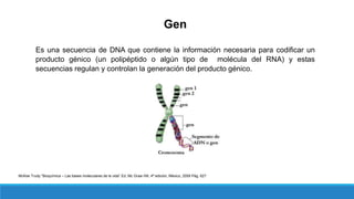 Gen
Es una secuencia de DNA que contiene la información necesaria para codificar un
producto génico (un polipéptido o algún tipo de molécula del RNA) y estas
secuencias regulan y controlan la generación del producto génico.
McKee Trudy “Bioquímica – Las bases moleculares de la vida” Ed. Mc Graw Hill, 4ª edición, México, 2009 Pág. 627
 