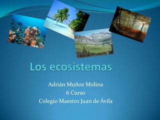 Los ecosistemas Adrián Muñoz Molina 6 Curso Colegio Maestro Juan de Ávila 