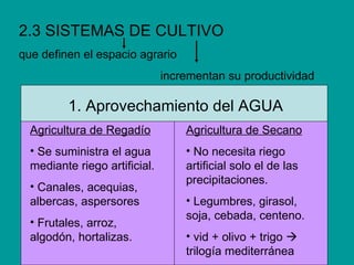 2.3 SISTEMAS DE CULTIVO que definen el espacio agrario incrementan su productividad 1. Aprovechamiento del AGUA <ul><li>Ag...