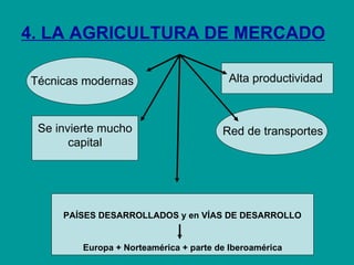 4. LA AGRICULTURA DE MERCADO Se invierte mucho capital Técnicas modernas Alta productividad  Red de transportes  PAÍSES DE...