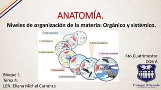 ANATOMÍA.
Niveles de organización de la materia: Orgánico y sistémico.
Bloque 1
Tema 4.
LEN. Eliana Michel Carranza
6to Cuatrimestre
CO6 A
 