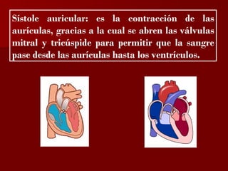 ?

Sístole auricular: es la contracción de las
aurículas, gracias a la cual se abren las válvulas
mitral y tricúspide para permitir que la sangre
pase desde las aurículas hasta los ventrículos.
 