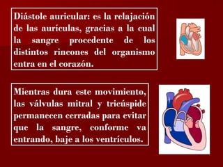 ?

Diástole auricular: es la relajación
de las aurículas, gracias a la cual
la sangre procedente de los
distintos rincones del organismo
entra en el corazón.

Mientras dura este movimiento,
las válvulas mitral y tricúspide
permanecen cerradas para evitar
que la sangre, conforme va
entrando, baje a los ventrículos.
 