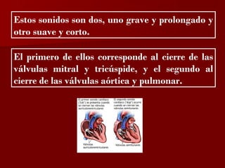 ?

Estos sonidos son dos, uno grave y prolongado y
otro suave y corto.

El primero de ellos corresponde al cierre de las
válvulas mitral y tricúspide, y el segundo al
cierre de las válvulas aórtica y pulmonar.
 