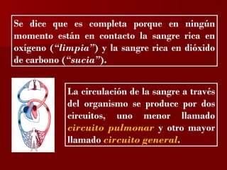 ?


Se dice que es completa porque en ningún
momento están en contacto la sangre rica en
oxígeno (“limpia”) y la sangre rica en dióxido
de carbono (“sucia”).


            La circulación de la sangre a través
            del organismo se produce por dos
            circuitos, uno menor llamado
            circuito pulmonar y otro mayor
            llamado circuito general.
 