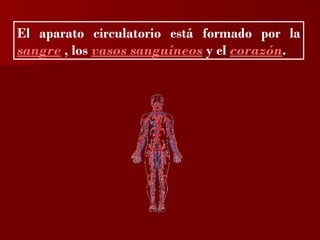 ?


El aparato circulatorio está formado por la
sangre , los vasos sanguíneos y el corazón.
 