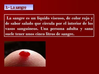 ?

3.- La sangre

 La sangre es un líquido viscoso, de color rojo y
de sabor salado que circula por el interior de los
vasos sanguíneos. Una persona adulta y sana
suele tener unos cinco litros de sangre.
 