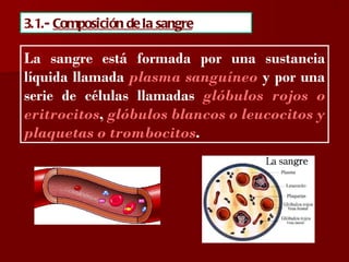 ?

3.1.- Composición de la sangre

La sangre está formada por una sustancia
líquida llamada plasma sanguíneo y por una
serie de células llamadas glóbulos rojos o
eritrocitos, glóbulos blancos o leucocitos y
plaquetas o trombocitos.
 
